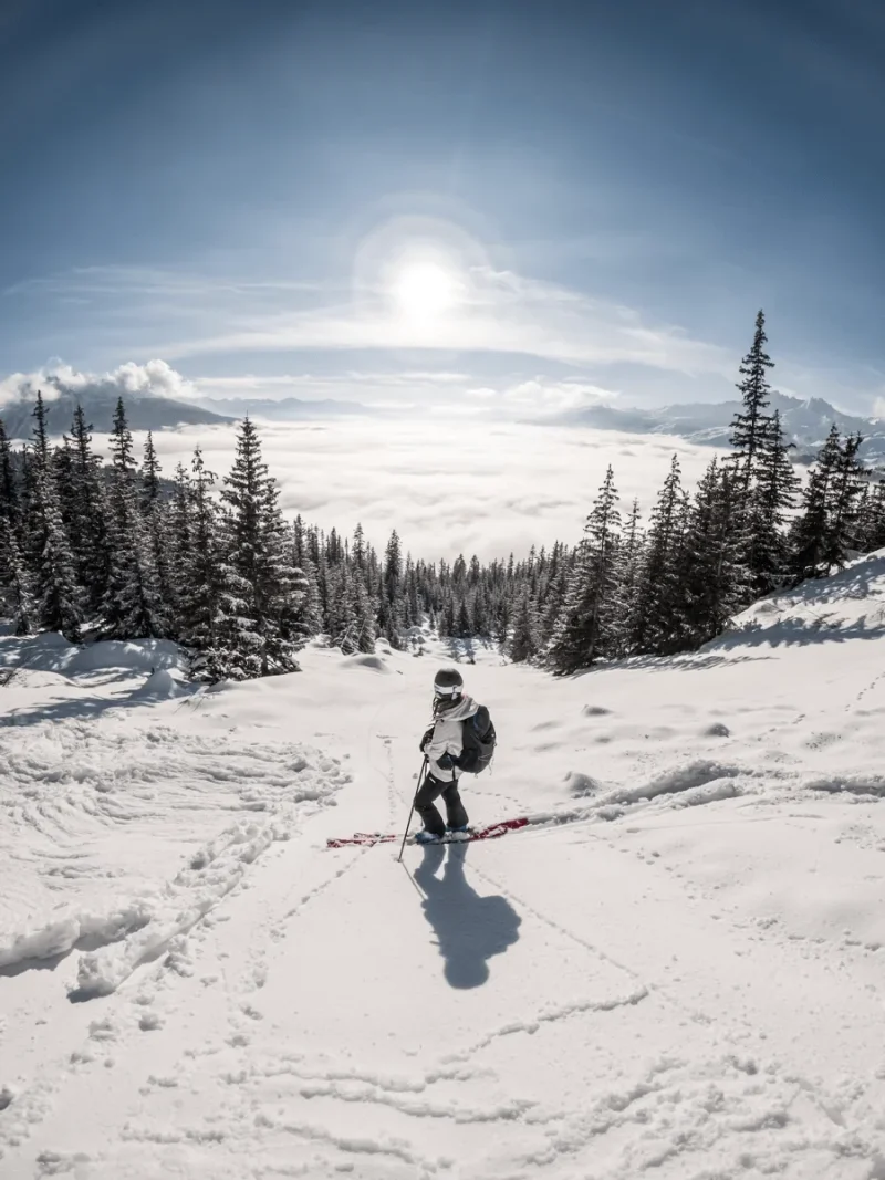 Een skister staat stil op een skipiste, op shortski in Oostenrijk of Italië, en kijkt naar beneden, richting de afdaling. Voor zich strekt zich een bos van dennenbomen uit.